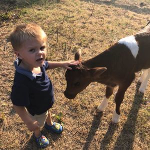 Meet your Posher, Bradley